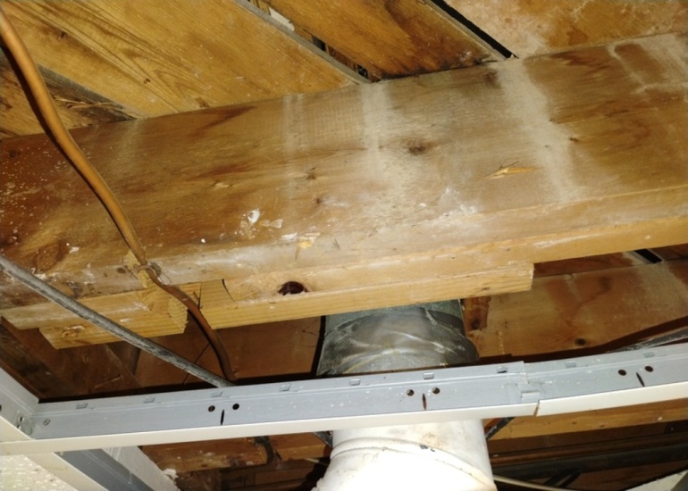 Inspection Image