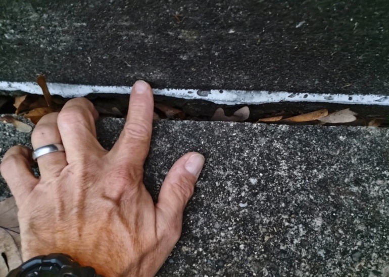Inspection Image