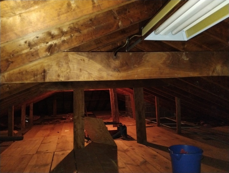 Inspection Image
