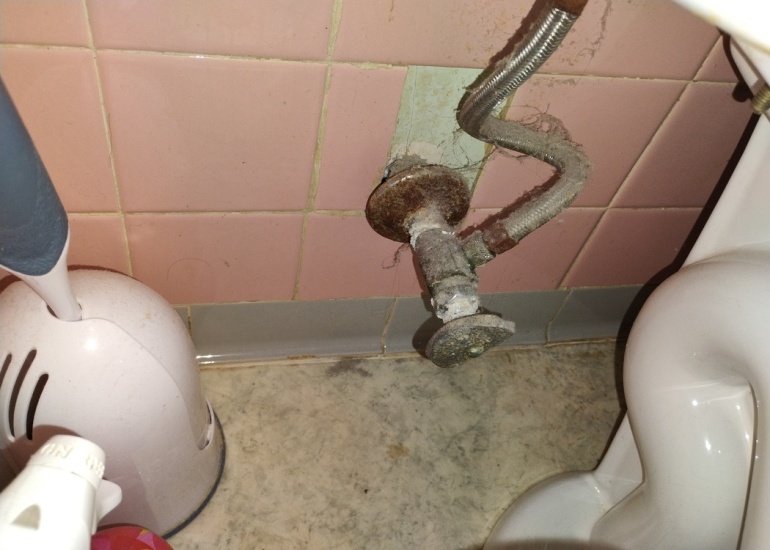 Inspection Image