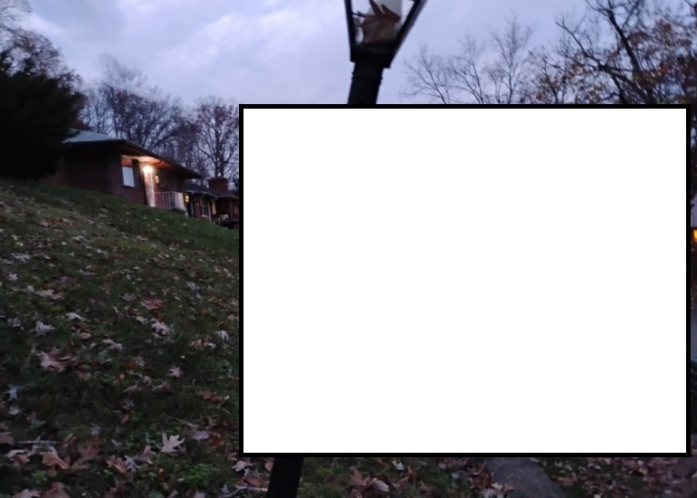 Inspection Image