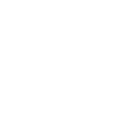 Security + 